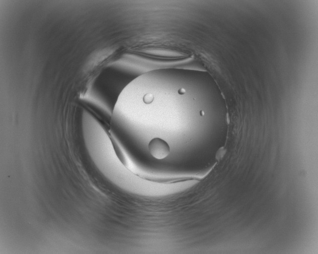 X0000079280740200611251621
