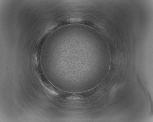 X0000079280743200611251621
