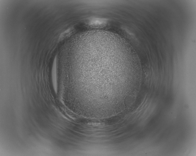 X0000079280745200611251621
