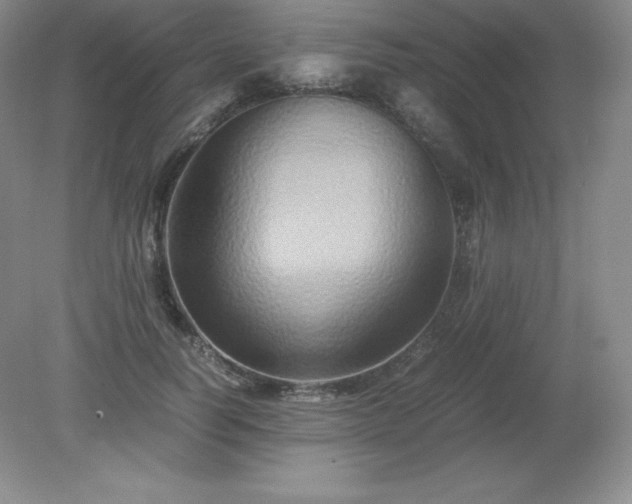 X0000079280746200611251621