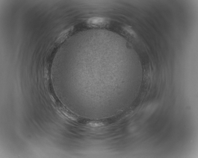X0000079280749200611251621
