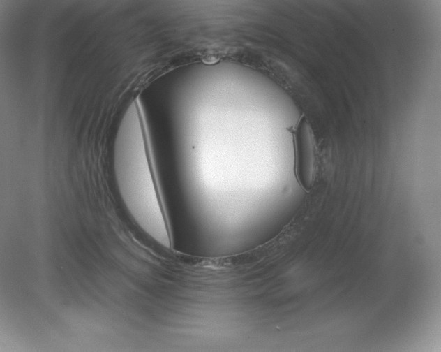 X0000079280756200611251621