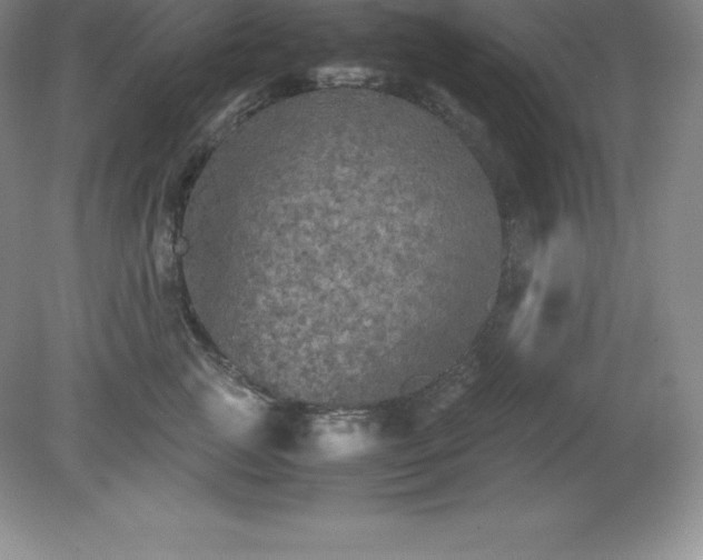 X0000079280761200611251621