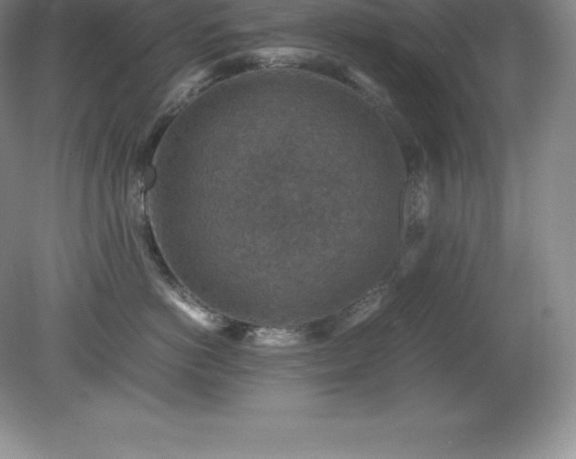 X0000079280766200611251621
