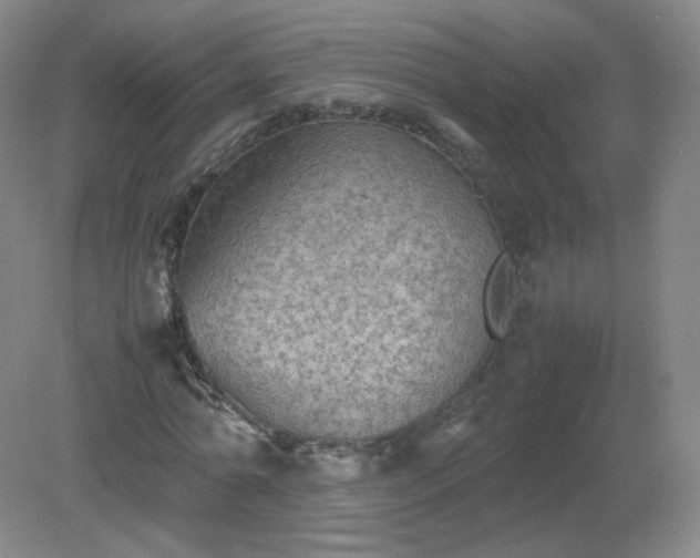 X0000079280774200611251620