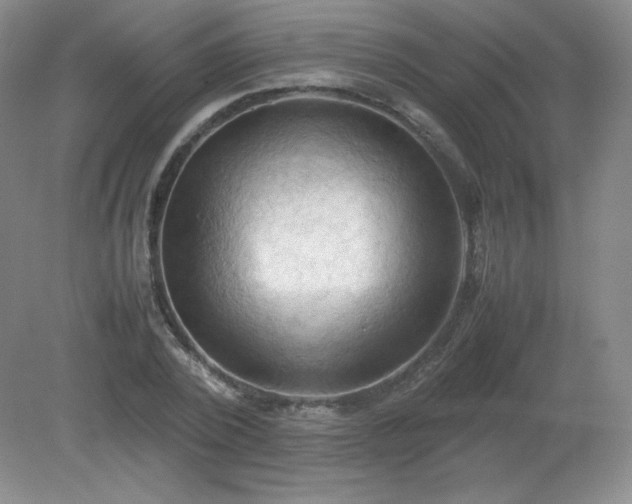 X0000079280784200611251620