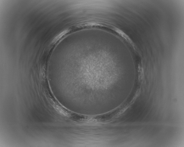 X0000079280785200611251620