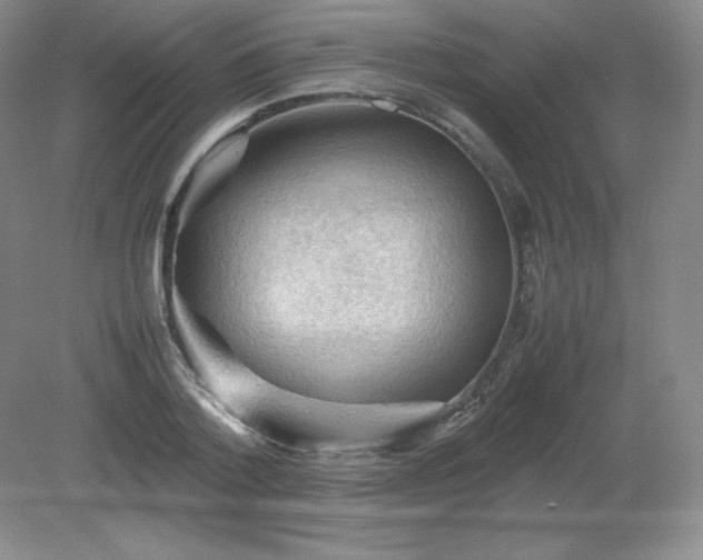 X0000079280788200611251620