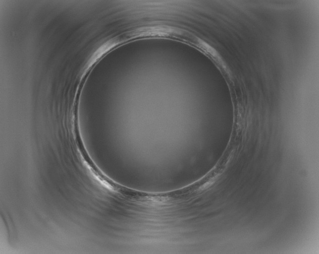 X0000079280802200611251620