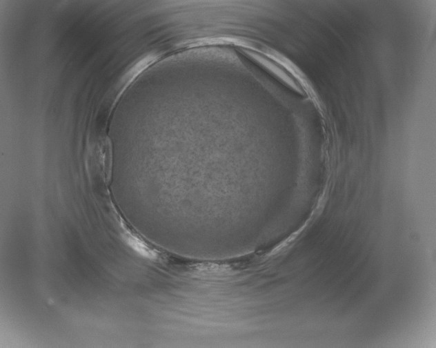 X0000079280809200611251620