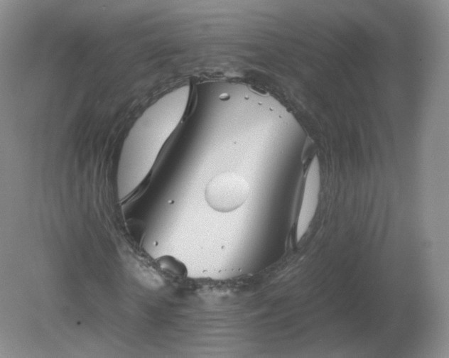 X0000079280818200611251619