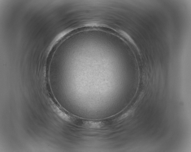 X0000079280831200611251619