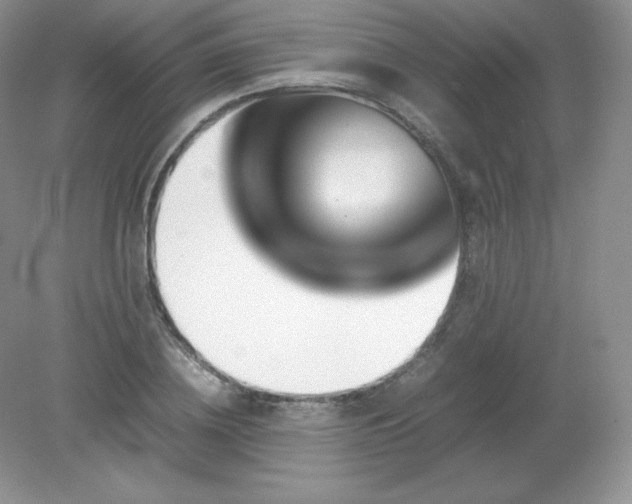 X0000079280836200611251619