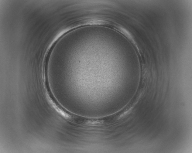 X0000079280843200611251619