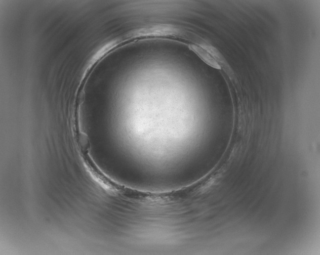 X0000079280850200611251619