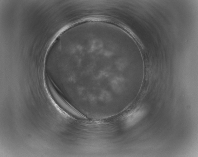 X0000079280853200611251619