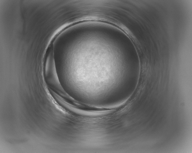 X0000079280854200611251619