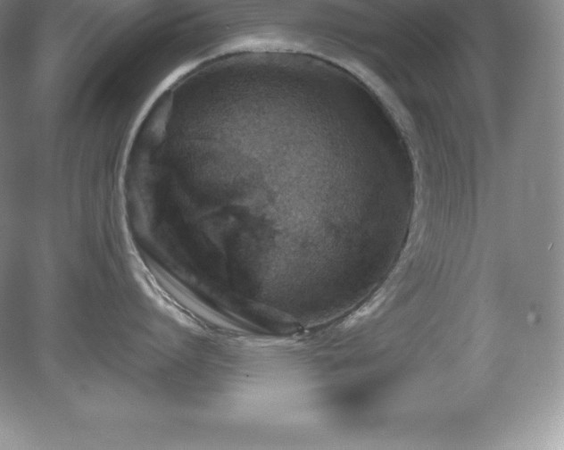 X0000079280864200611251620
