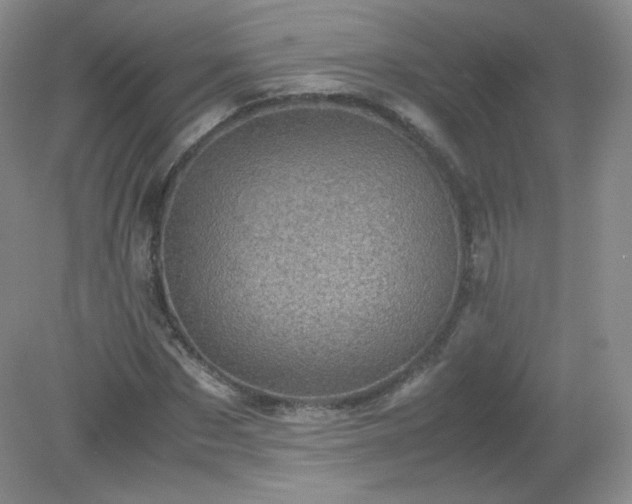 X0000079280873200611251619