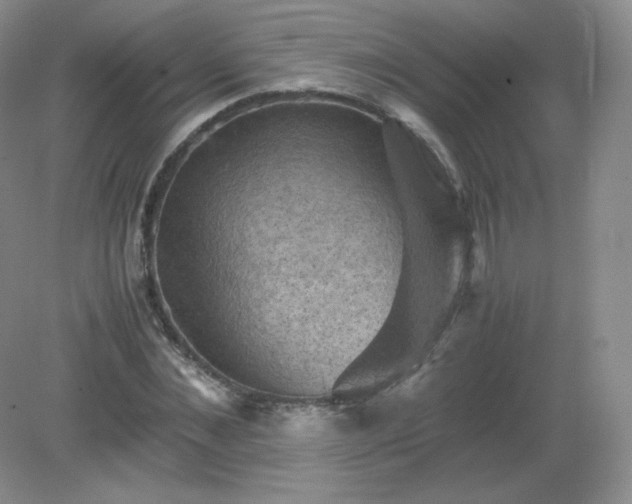 X0000079280876200611251619