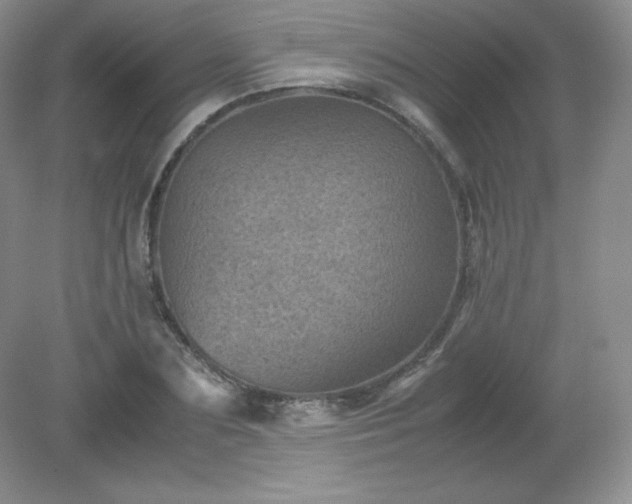 X0000079280883200611251619
