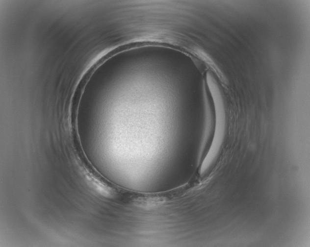X0000079280884200611251618