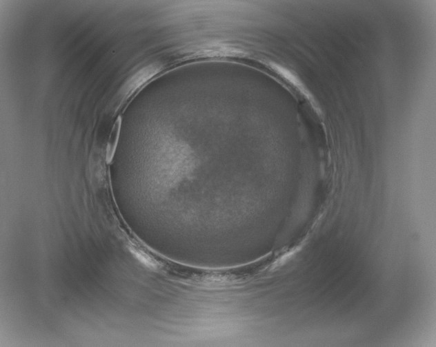 X0000079280889200611251618