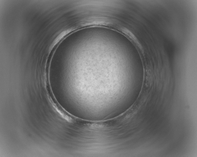X0000079280890200611251618