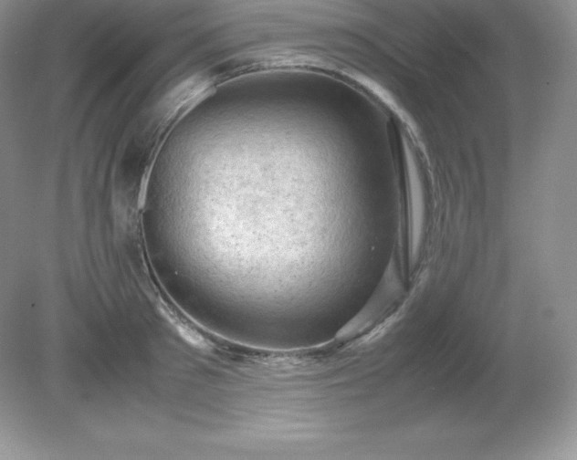 X0000079280897200611251618