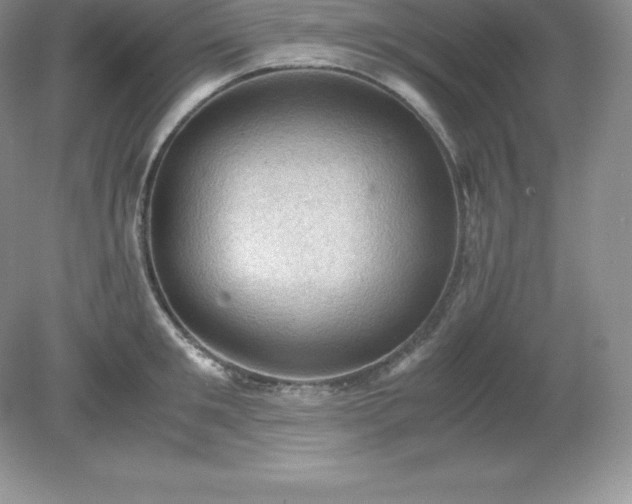 X0000079280901200611251618