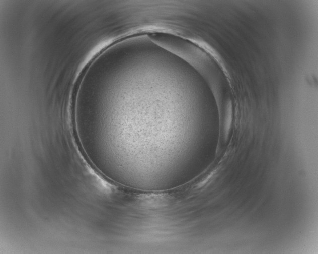 X0000079280902200611251618