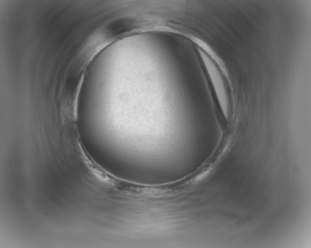 X0000079280905200611251618