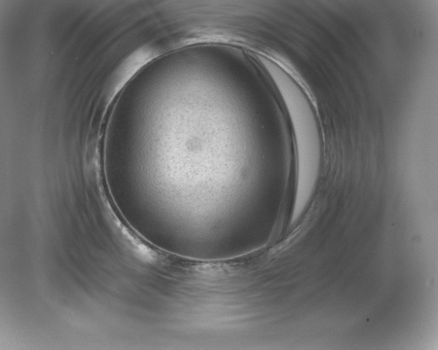 X0000079280906200611251618