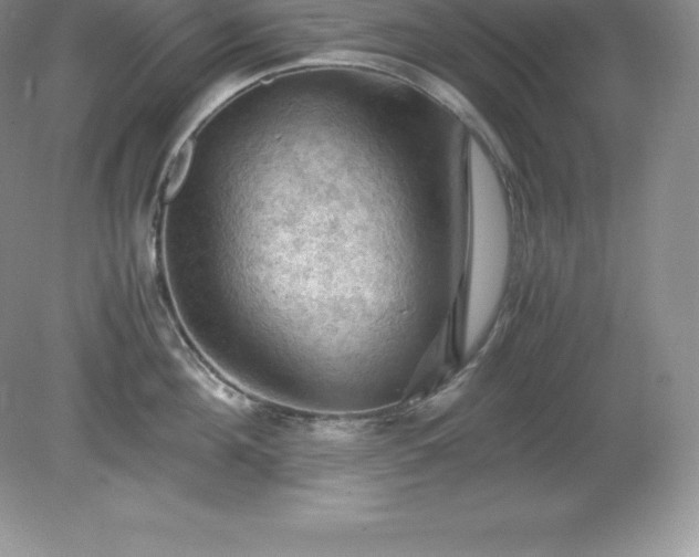 X0000079280908200611251618
