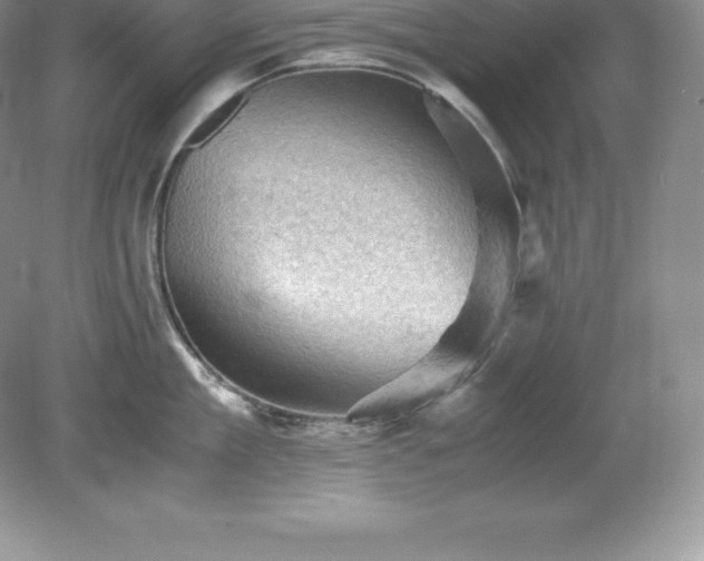X0000079280909200611251618