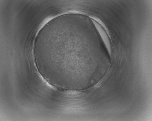 X0000079280910200611251618