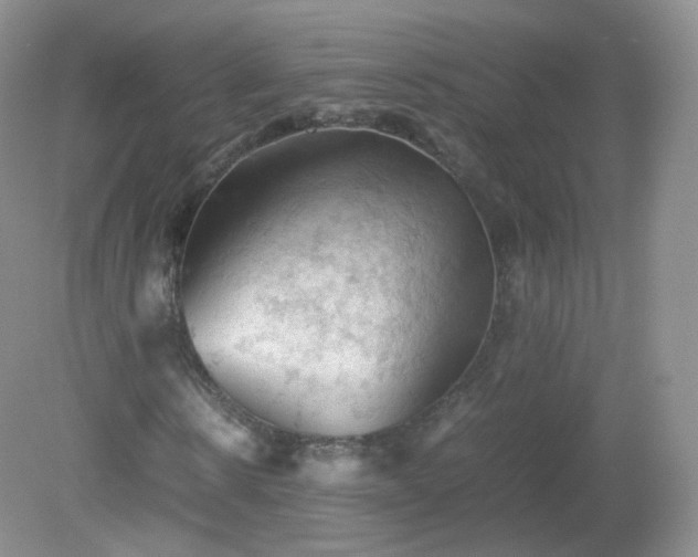X0000079280914200611251617