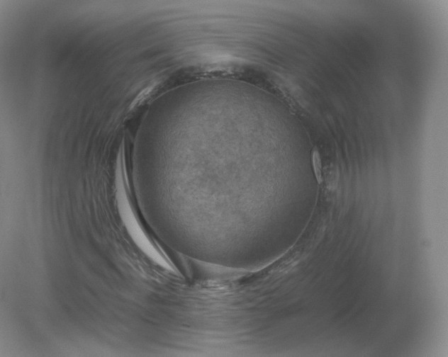 X0000079280916200611251617