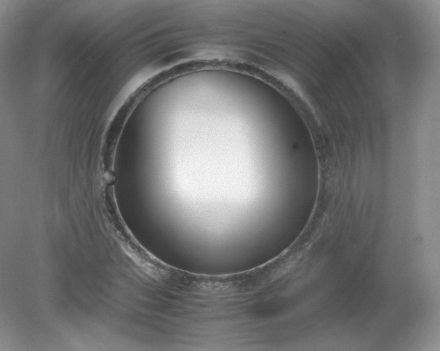 X0000079280927200611251617