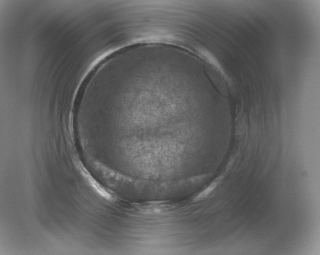 X0000079280932200611251618