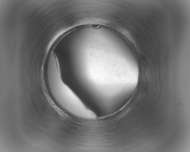 X0000079280936200611251618