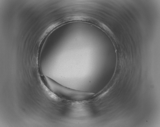 X0000079280938200611251618