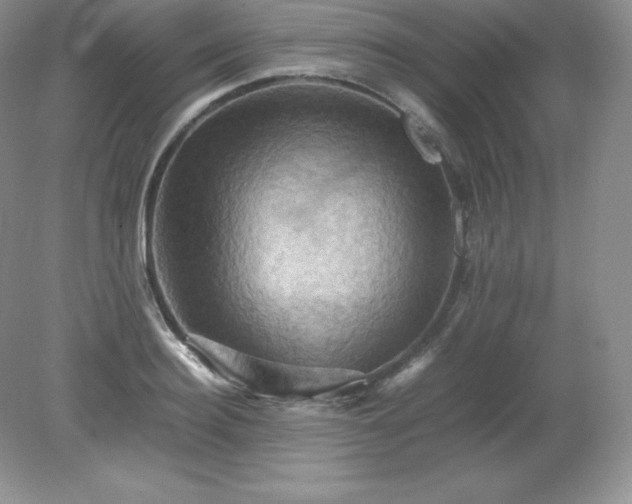 X0000079280940200611251618