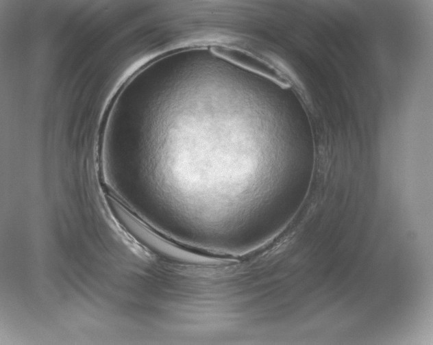 X0000079280948200611251618