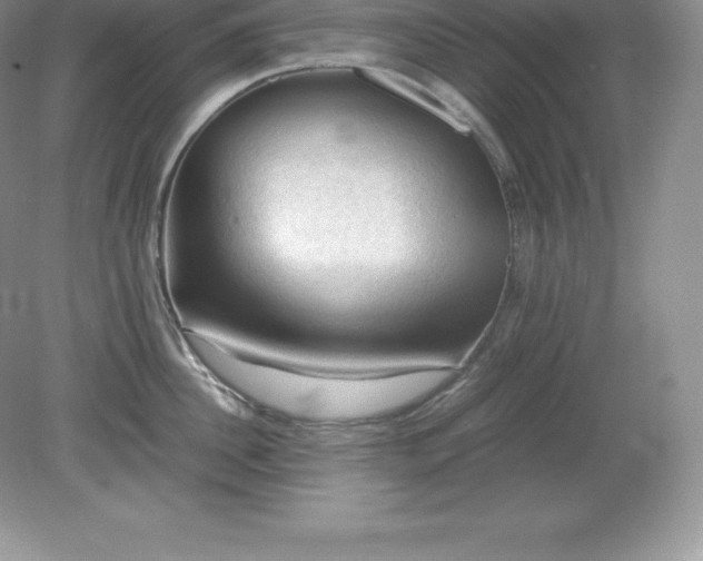 X0000079280956200611251618
