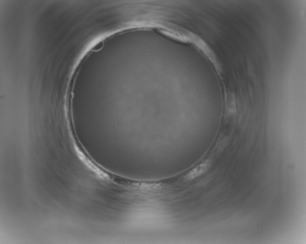 X0000079280958200611251618