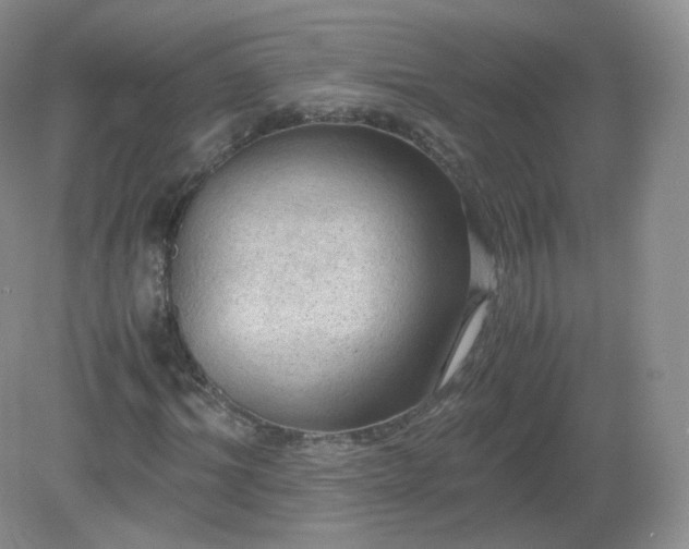 X0000079280964200611251617
