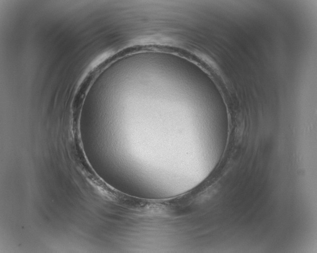 X0000079280974200611251617