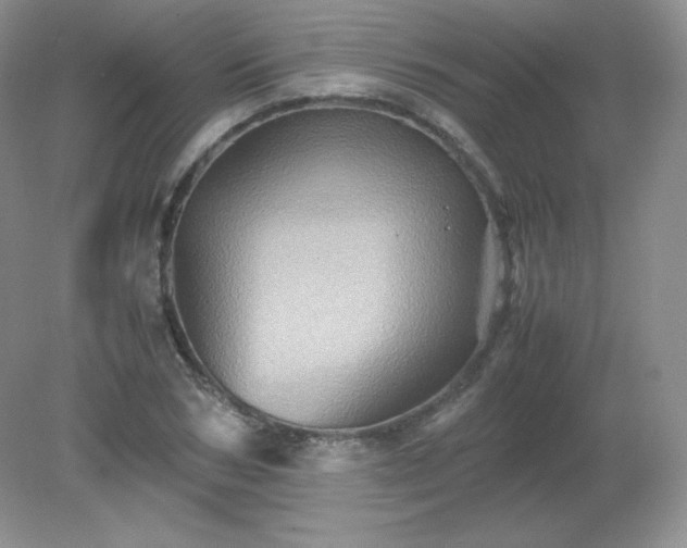 X0000079280978200611251617