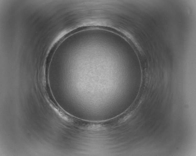 X0000079280982200611251617
